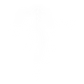 Decal "lightning"